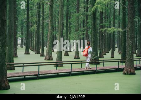 YANGZHOU, CINA - 1 SETTEMBRE 2022 - Un turista gioca al parco acquatico della foresta del lago Luyang Wetland a Yangzhou, provincia di Jiangsu, Cina, 1 settembre 2022. Foto Stock