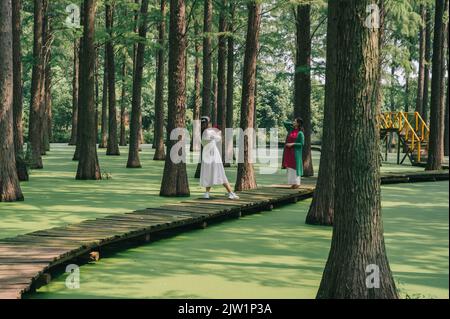 YANGZHOU, CINA - 1 SETTEMBRE 2022 - Un turista gioca al parco acquatico della foresta del lago Luyang Wetland a Yangzhou, provincia di Jiangsu, Cina, 1 settembre 2022. Foto Stock