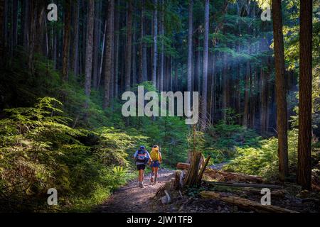 Due escursionisti sul sentiero Mount Mount a North Bend, Washington. Il Monte tenero è una montagna situata nella Contea di King nello stato di Washington. Foto Stock