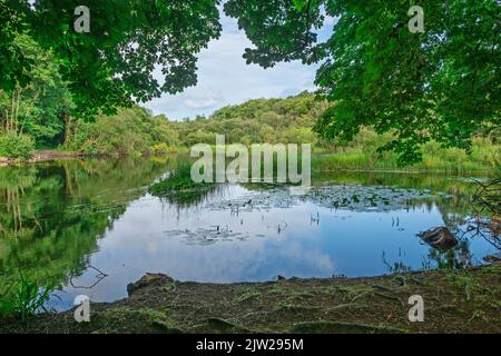 Il fiume Cong sorge nel villaggio con lo stesso nome e scorre in Lough Corrib in Irlanda. Foto Stock