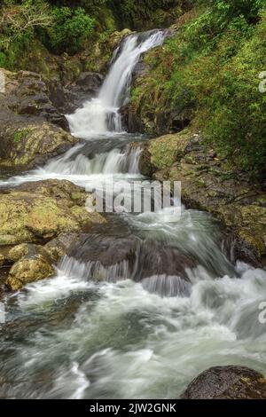 Una cascata a più livelli che si getta sulle rocce ricoperte di licheni nella foresta. Kaiate Falls, Bay of Plenty, Nuova Zelanda Foto Stock