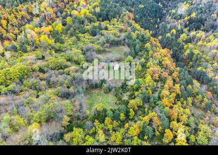 Vista drone di casa residenziale situata tra gli alberi con fogliame colorato che cresce in fitta foresta il giorno d'autunno in natura Foto Stock