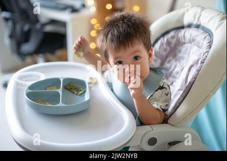 Bambino che mangia da solo nella sua seggiolone a casa. Adorabile bambino di un anno che ha un pasto tenendo il cibo nelle sue mani e mangiare a casa Foto Stock