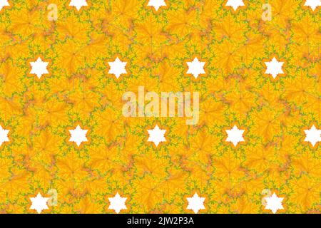 Sfondo autunnale astratto realizzato con foglie di acero pigmentato e stelle bianche. Foto Stock