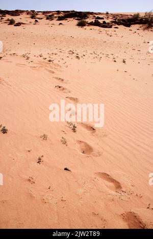 Stampe a piedi per escursionisti nel deserto, Wadi Rum, Giordania Foto Stock