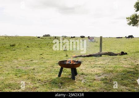 Una buca di fuoco in una fattoria illuminata con un piccolo fuoco e legno riciclato eco si possono vedere fiamme e fumo Foto Stock