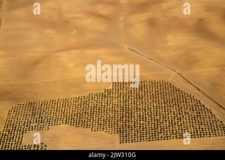 Siviglia, Spagna - 19 agosto 2022 volo commerciale tra la città di Siviglia in Spagna e Tetouan in Marocco, Vista dal cielo della terra e del Foto Stock