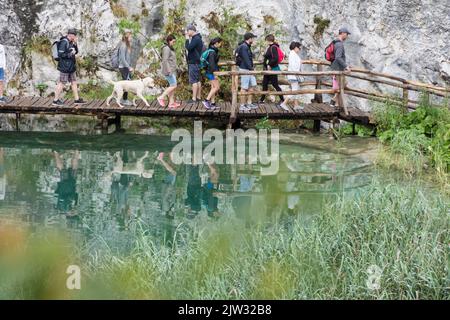 I turisti che camminano a bordo di una passeggiata su una delle numerose piscine e laghi del Parco Nazionale dei Laghi di Plitvice, Croazia, Europa. Foto Stock