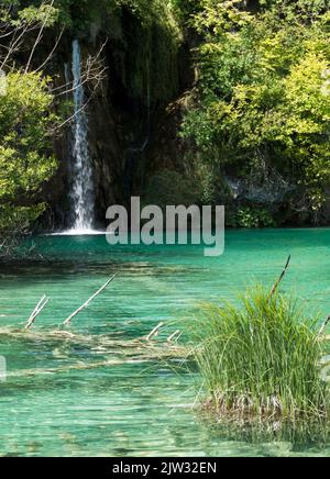 Piccola cascata che si tuffa dalle rocce in una piscina nel Parco Nazionale dei Laghi di Plitvice, Croazia, Europa. Foto Stock