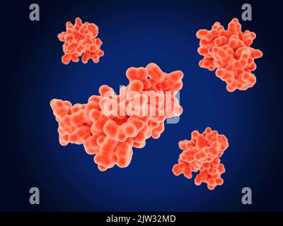 Illustrazione delle molecole del fattore di crescita epidermico (EGF). L'EGF attiva il recettore EGF (EGFR) legandolo ad esso. Il recettore attivato promuove la migrazione, l'adesione e la proliferazione delle cellule. Foto Stock