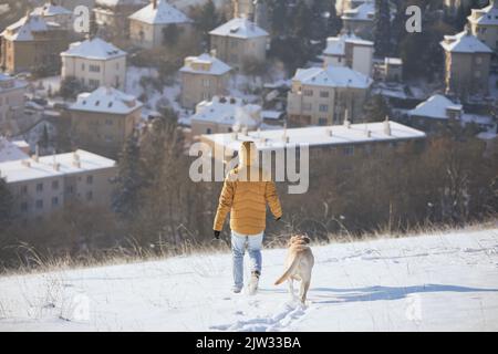 Vista posteriore dell'uomo con cane in inverno. Il proprietario di un animale domestico con il suo labrador Retriever camminando nella neve contro la città. Praga, Repubblica Ceca Foto Stock
