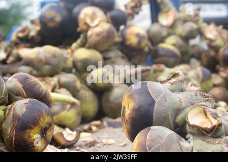 Indian Street Food mela fresca di ghiaccio, Una palla di gelatina come frutta di palma anche conosciuto come Nungu, Pananungu o Palmyra frutta. Un refrigerante naturale, Juicy Foto Stock