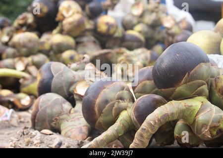 Indian Street Food mela fresca di ghiaccio, Una palla di gelatina come frutta di palma anche conosciuto come Nungu, Pananungu o Palmyra frutta. Un refrigerante naturale, Juicy Foto Stock