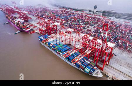 SHANGHAI, CINA - 3 SETTEMBRE 2022 - più navi portacontainer eseguono operazioni intensive di carico e scarico presso il terminal automatizzato di Yangsha Foto Stock