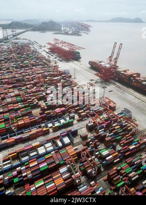 SHANGHAI, CINA - 3 SETTEMBRE 2022 - più navi portacontainer eseguono operazioni intensive di carico e scarico presso il terminal automatizzato di Yangsha Foto Stock