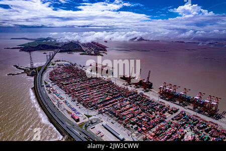 SHANGHAI, CINA - 3 SETTEMBRE 2022 - più navi portacontainer eseguono operazioni intensive di carico e scarico presso il terminal automatizzato di Yangsha Foto Stock