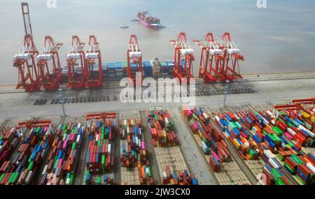 SHANGHAI, CINA - 3 SETTEMBRE 2022 - più navi portacontainer eseguono operazioni intensive di carico e scarico presso il terminal automatizzato di Yangsha Foto Stock