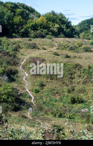 Vista della Broughton Down Nature Reserve e della SSSI, un sito di gesso a Hampshire, Inghilterra, Regno Unito Foto Stock