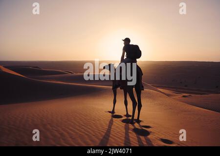 Giro in cammello nel deserto al tramonto dorato. L'uomo si diverte a viaggiare sulle dune di sabbia. Wahiba Sands in Sultanato di Oman. Foto Stock