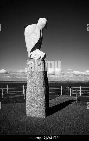 Un uccello mitico che guarda attraverso la baia al Lake District, Morecambe, Lancashire, Regno Unito Foto Stock