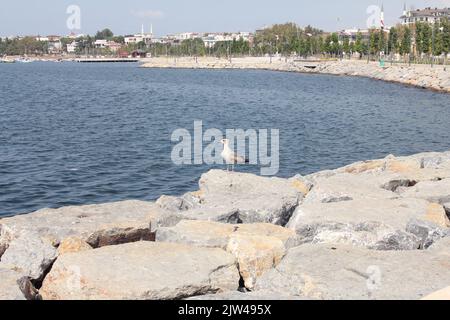 Tuzla Foto Stock