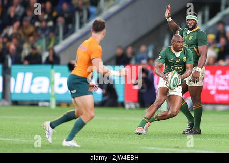 3rd settembre 2022; Allianz Stadium, Sydney, nuovo Galles del Sud, Australia; 2022 Campionato di rugby Etoro, Australia contro Sud Africa: Makazole Mapimpi del Sud Africa corre con la palla in campo aperto Foto Stock