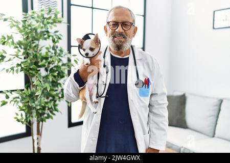 Uomo anziano grigio-capelli indossando veterinario uniforme tenendo chihuahua con colletto elisabettiano in clinica veterinario Foto Stock