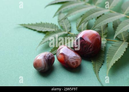 Belle pietre rotonde di botswana agate con un ramo verde su uno sfondo verde. Cristalli curativi. Messa a fuoco selettiva. Foto Stock