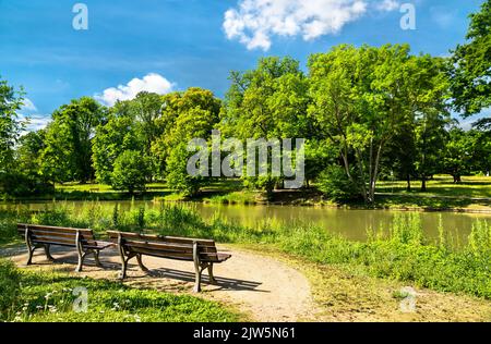 Lago Swan a Bad Homburg vor der Hoehe vicino a Francoforte, Germania Foto Stock