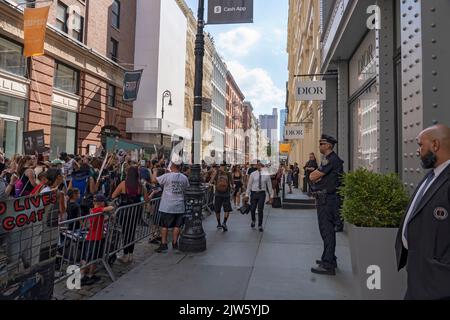 NEW YORK, NY - 27 AGOSTO 2022: Centinaia di attivisti per i diritti degli animali partecipano al Animal Rights March NYC per protestare contro gli abusi sugli animali e contro Dior An Foto Stock