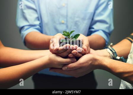 La crescita viene coltivata lentamente. Studio shot di un gruppo di uomini d'affari irriconoscibili in possesso di una pianta germogliante. Foto Stock