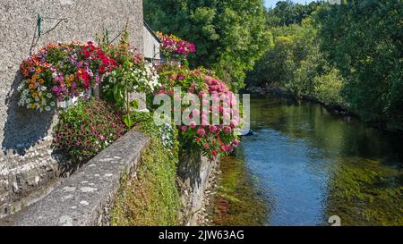 Il fiume Cong sorge nel villaggio con lo stesso nome in Irlanda e sfocia nel Lough Corrib in Irlanda. Foto Stock