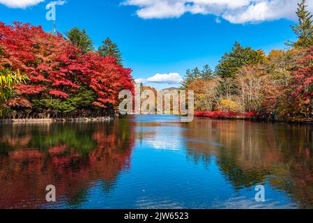 Kumobaike Pond autunno fogliame paesaggio vista, multicolore riflettendo sulla superficie in giorno di sole. Prefettura di Nagano, Giappone Foto Stock