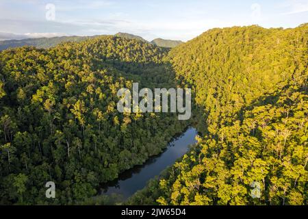 Vista aerea della lussureggiante foresta pluviale dell'Isola di Batanta, Raja Ampat Indonesia. Foto Stock