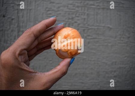 Femmina che tiene mele da ghiaccio anche noto come Palmyra da un albero di palma. Toddy munjal Foto Stock