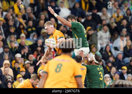 SYDNEY, AUSTRALIA - SETTEMBRE 3: Matt Philip of Australia vince la line-out durante la partita di Rugby Championship tra l'Australia Wallabies e così via Foto Stock