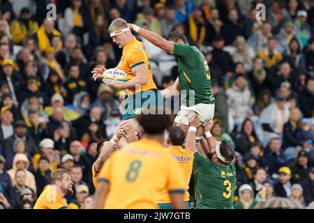 SYDNEY, AUSTRALIA - SETTEMBRE 3: Matt Philip of Australia vince la line-out durante la partita di Rugby Championship tra l'Australia Wallabies e così via Foto Stock