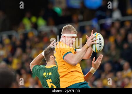 SYDNEY, AUSTRALIA - SETTEMBRE 3: Matt Philip of Australia vince la line-out durante la partita di Rugby Championship tra l'Australia Wallabies e così via Foto Stock