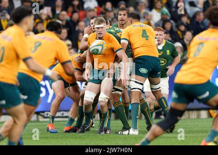 SYDNEY, AUSTRALIA - SETTEMBRE 3: Matt Philip of Australia visto durante la partita di Rugby Championship tra l'Australia Wallabies e Sud Africa Sp Foto Stock