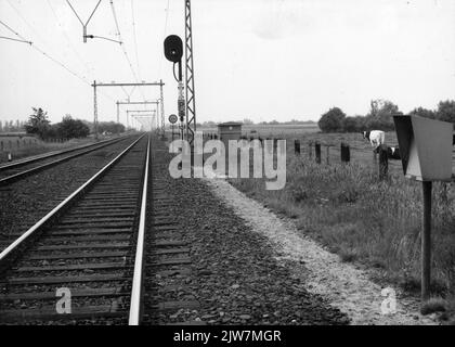 Vista della linea ferroviaria tra Nijkerk e Amersfoort, con fari e una previsione a KM. 25,4, da nord-est. A destra una tazza telefonica. Foto Stock