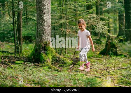 La bambina cammina nel bosco con un cesto e raccoglie frutta e funghi Foto Stock