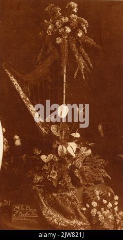 Un paradiso dei fiori nella fondazione Foto Stock