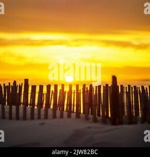 New York, 1980s, recinzioni di picket in legno della spiaggia, tramonto, The Hamptons, Long Island, New York state, NY, STATI UNITI, Foto Stock