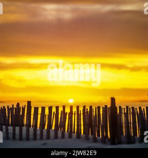 New York, 1980s, recinzioni di picket in legno della spiaggia, tramonto, The Hamptons, Long Island, New York state, NY, STATI UNITI, Foto Stock