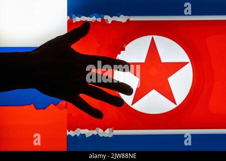 Sagoma scura di mano allungata sullo sfondo sfocato dell'immagine digitale delle bandiere della Federazione Russa e della Corea del Nord Foto Stock