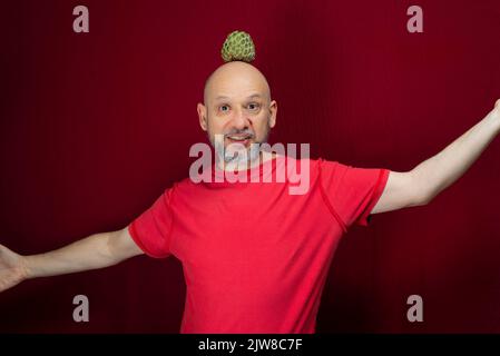 Giovane uomo bello con barba, testa calva e camicia rossa in piedi con frutto pinecone equilibrato sulla testa contro sfondo rosso. Persone positive e sane Foto Stock