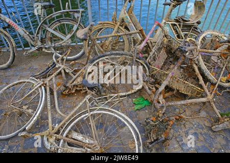 Colonia, Germania - Luglio 9. 2022: Accatastare molte vecchie biciclette arrugginite fangose gettate nell'acqua del reno e poi recuperate tirate fuori Foto Stock