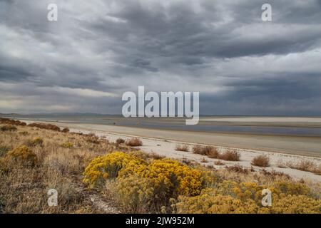 Una giornata ventosa sull'Antelope Island nel Great Salt Lake, Utah. Foto Stock