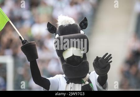 04 settembre 2022, Renania settentrionale-Vestfalia, Mönchengladbach: Calcio: Bundesliga, Bor. Mönchengladbach - FSV Mainz 05, giorno della partita 5, Stadio im Borussia-Park: La mascotte Jünter onde di Mönchengladbach. Foto: Bernd Thissen/dpa - NOTA IMPORTANTE: Conformemente ai requisiti della DFL Deutsche Fußball Liga e della DFB Deutscher Fußball-Bund, è vietato utilizzare o utilizzare fotografie scattate nello stadio e/o della partita sotto forma di sequenze di immagini e/o serie di foto simili a un video. Foto Stock