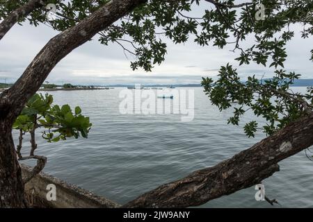 Barche ancorate al largo di Puerto Jiménez nel Golfo Dulce, Costa Rica. Foto Stock